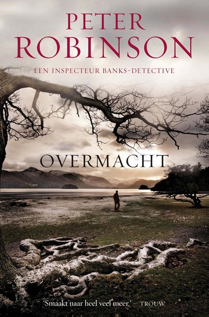 Overmacht, Peter Robinson - Ebook - 9789044964530