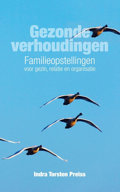 Gezonde verhoudingen, Indra Torsten Preiss - Ebook - 9789044972382