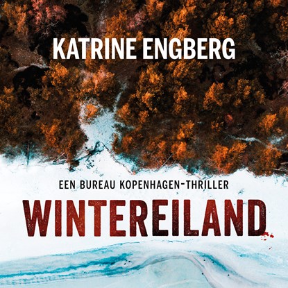 Wintereiland, Katrine Engberg - Luisterboek MP3 - 9789044974744