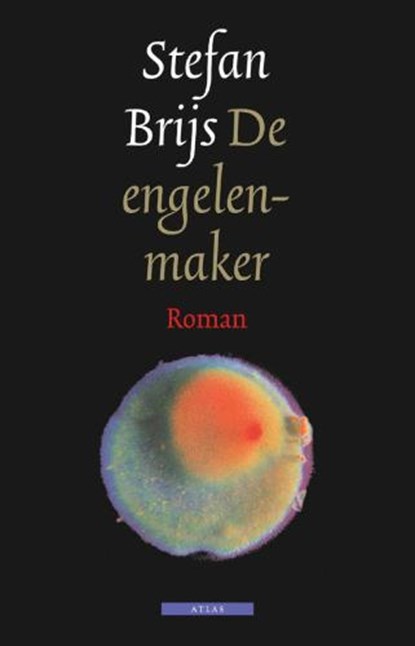 De engelenmaker, BRIJS, Stefan - Gebonden - 9789045014951