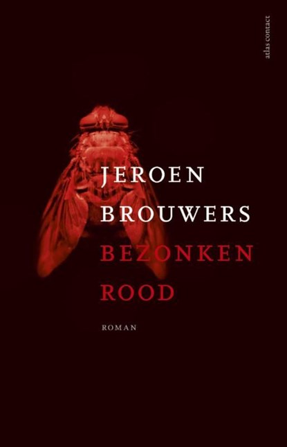 Bezonken rood, Jeroen Brouwers - Ebook - 9789045015286
