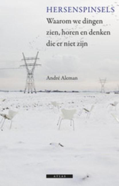 Hersenspinsels, André Aleman - Paperback - 9789045017266