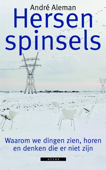 Hersenspinsels, André Aleman - Ebook - 9789045019642