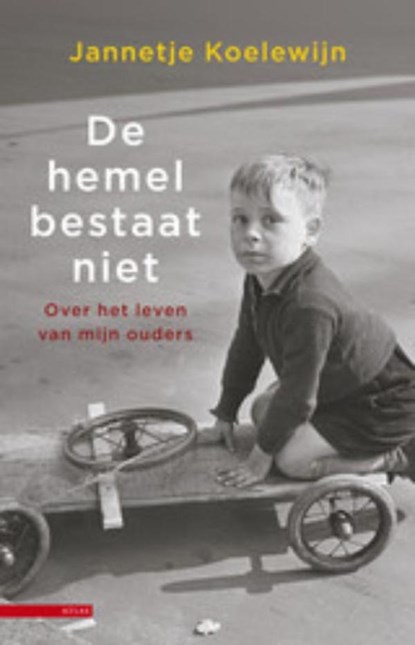 De hemel bestaat niet, Jannetje Koelewijn - Ebook - 9789045019857