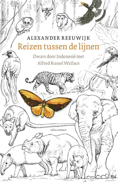 Reizen tussen de lijnen, Alexander Reeuwijk - Paperback - 9789045021805