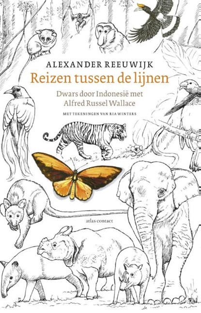 Reizen tussen de lijnen, Alexander Reeuwijk - Ebook - 9789045024820
