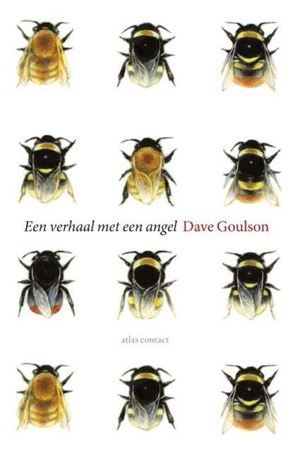 Een verhaal met een angel, Dave Goulson - Ebook - 9789045026411