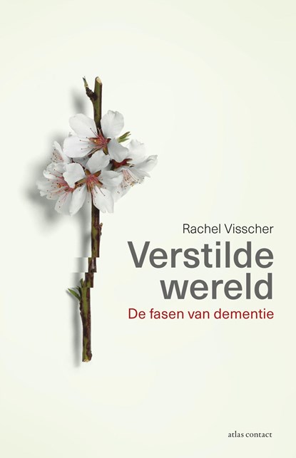 Verstilde wereld, Rachel Visscher - Ebook - 9789045027852