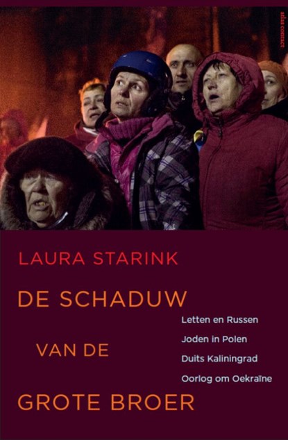 De schaduw van de grote broer, Laura Starink - Ebook - 9789045028132