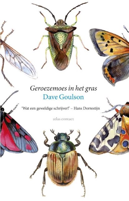 Geroezemoes in het gras, Dave Goulson - Ebook - 9789045028422