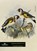 Vogelscheurkalender, Sander Blom ; Kester Freriks - Paperback - 9789045028743
