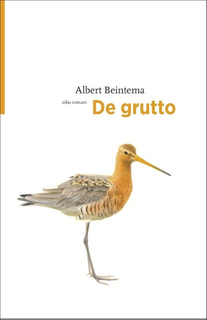 De grutto, Albert Beintema - Paperback - 9789045029443