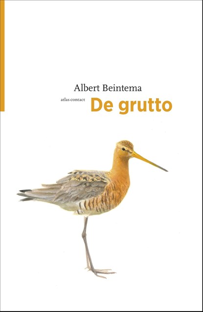 De grutto, Albert Beintema - Ebook - 9789045029450