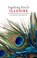 Illusies, Ingeborg Bosch - Paperback - 9789045029825