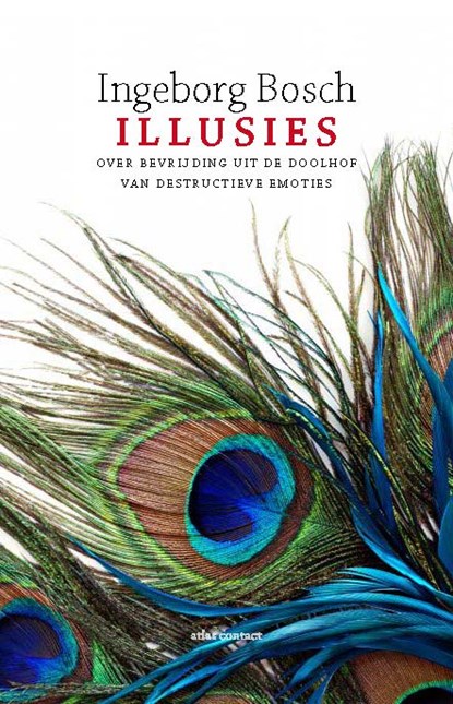 Illusies, Ingeborg Bosch - Paperback - 9789045029825