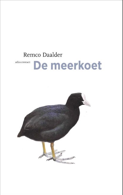 De meerkoet, Remco Daalder - Paperback - 9789045030258