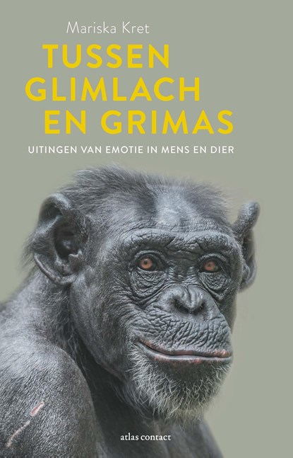 Tussen glimlach en grimas, Mariska Kret - Ebook - 9789045031064