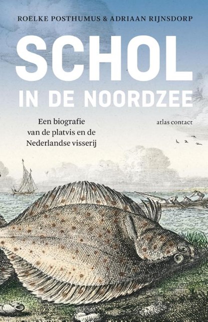Schol in de Noordzee, Roelke Posthumus ; Adriaan Rijnsdorp - Paperback - 9789045031231