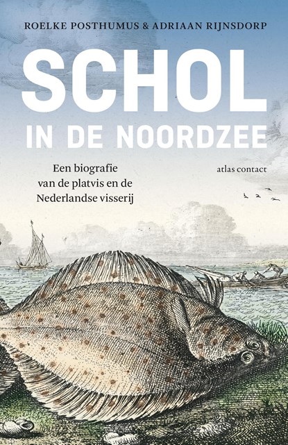 Schol in de Noordzee, Roelke Posthumus ; Adriaan Rijnsdorp - Ebook - 9789045031248