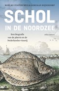 Schol in de Noordzee | Roelke Posthumus ; Adriaan Rijnsdorp | 