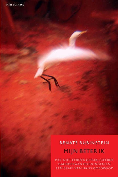 Mijn beter ik, Renate Rubinstein - Paperback - 9789045031859