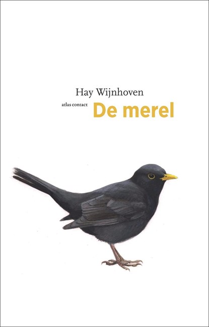 De merel, Hay Wijnhoven - Ebook - 9789045033969