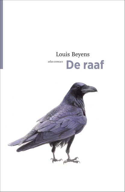 De raaf, Louis Beyens - Ebook - 9789045034195
