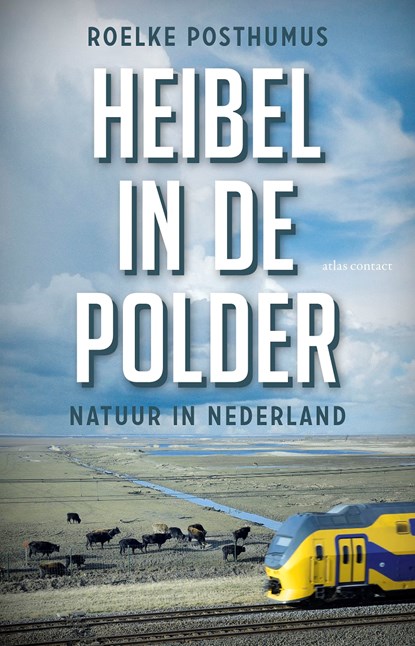 Heibel in de polder, Roelke Posthumus - Paperback - 9789045034881