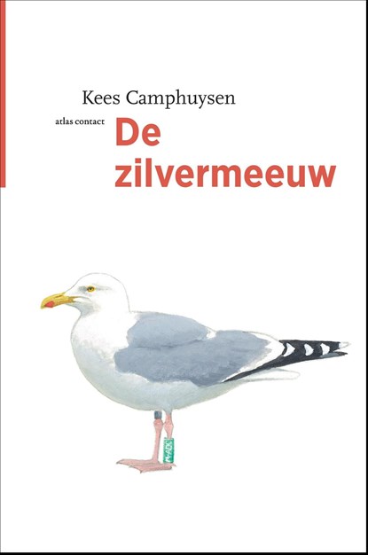 De zilvermeeuw, Kees Camphuysen - Ebook - 9789045036052