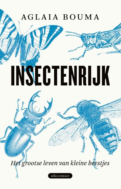 Insectenrijk, Aglaia Bouma - Paperback - 9789045038018