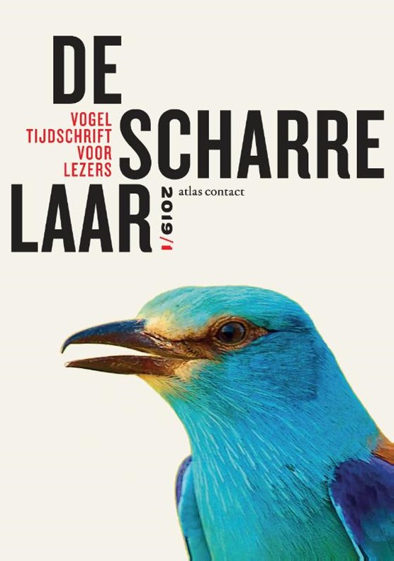 De scharrelaar-2019/1