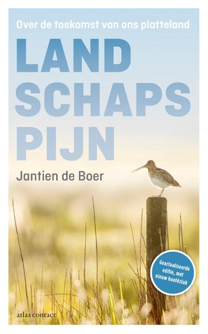 Landschapspijn, Jantien de Boer - Paperback - 9789045038445