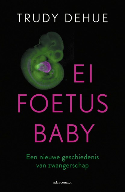 Ei, foetus, baby, Trudy Dehue - Ebook - 9789045039794