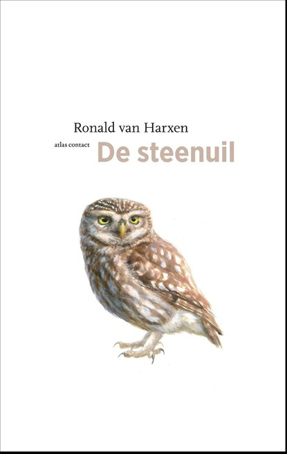 De steenuil, Ronald van Harxen - Ebook - 9789045039862