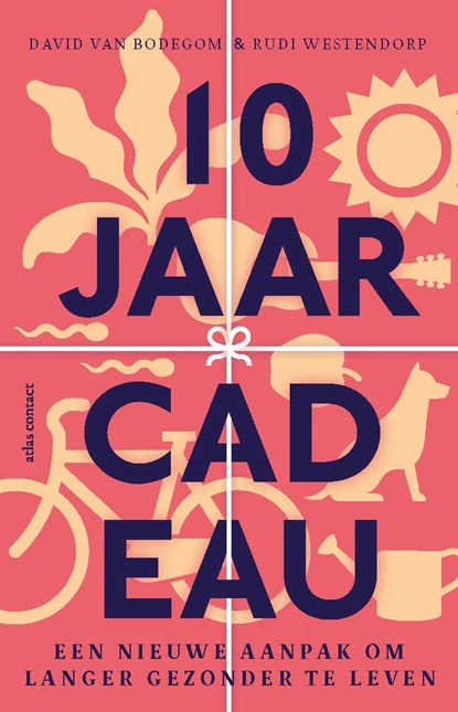 Tien jaar cadeau, David van Bodegom ; Rudi Westendorp - Ebook - 9789045040134