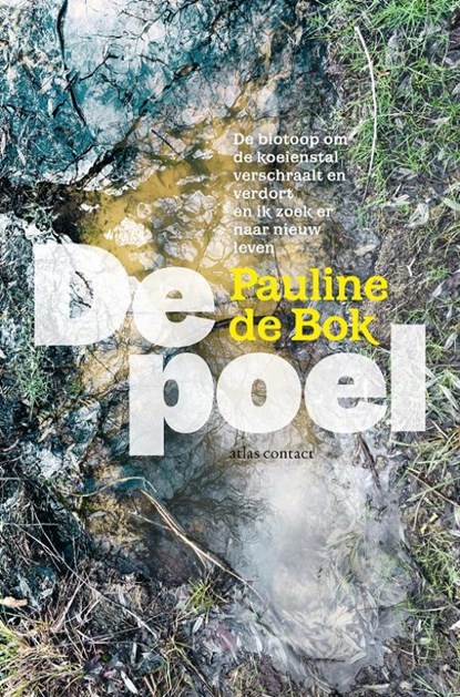 De poel, Pauline de Bok - Paperback - 9789045040820