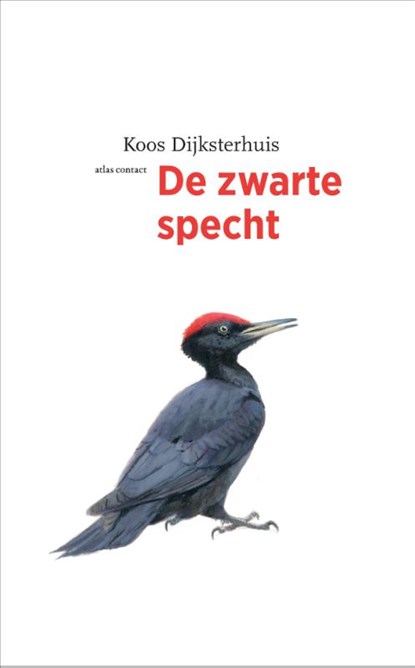 De zwarte specht, Koos Dijksterhuis - Paperback - 9789045041216