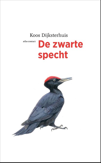 De zwarte specht, Koos Dijksterhuis - Ebook - 9789045041223