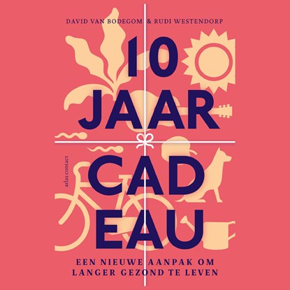 10 jaar cadeau, David van Bodegom ; Rudi Westendorp - Luisterboek MP3 - 9789045041599