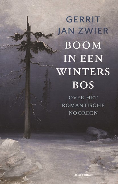 Boom in een winters bos, Gerrit Jan Zwier - Paperback - 9789045041841