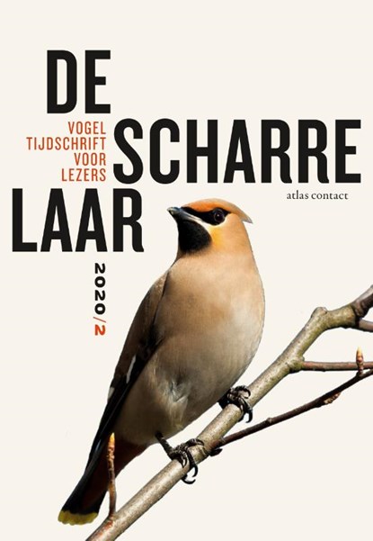 De scharrelaar 2020/2, Diverse auteurs - Paperback - 9789045042824