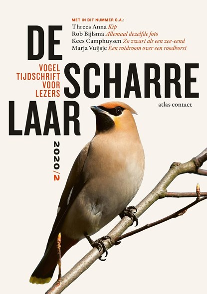 De scharrelaar - 2020/2, Diverse auteurs - Ebook - 9789045042831