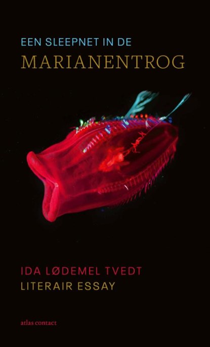 Een sleepnet in de Marianentrog, Ida Lødemel Tvedt - Paperback - 9789045043128