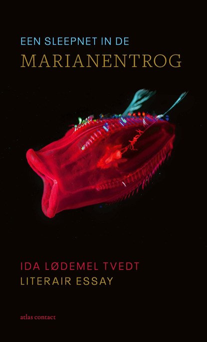 Een sleepnet in de Marianentrog, Ida Lødemel Tvedt - Ebook - 9789045043135