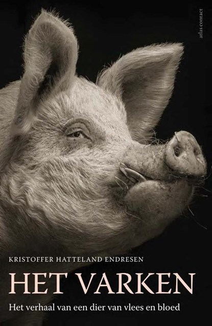 Het varken, Kristoffer Hatteland Endresen - Paperback - 9789045044514