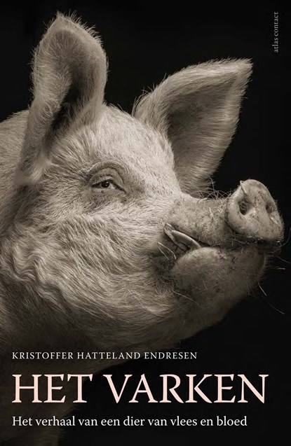 Het varken, Kristoffer Hatteland Endresen - Ebook - 9789045044521