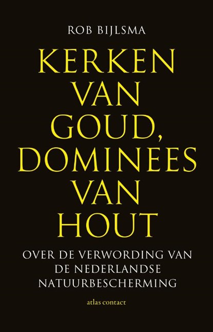 Kerken van goud, dominees van hout, Rob Bijlsma - Paperback - 9789045044637