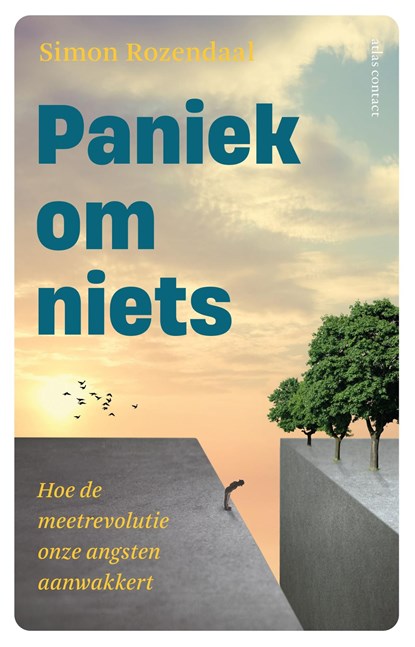 Paniek om niets, Simon Rozendaal - Ebook - 9789045045238