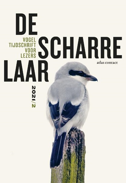 De scharrelaar 2021/2, niet bekend - Paperback - 9789045045344