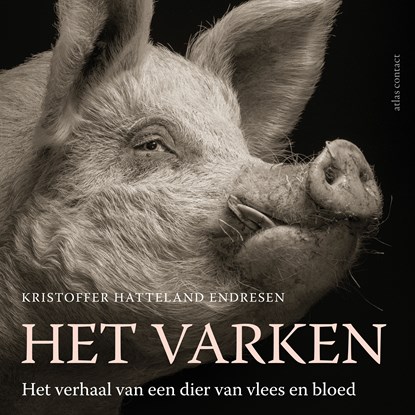 Het varken, Kristoffer Hatteland Endresen - Luisterboek MP3 - 9789045045771